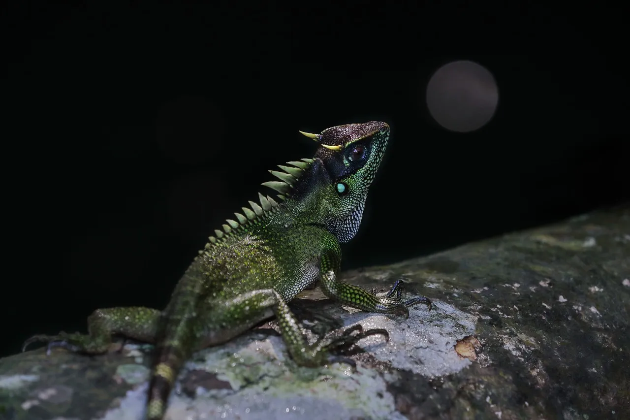 David Icke pointing at a giant flying reptile