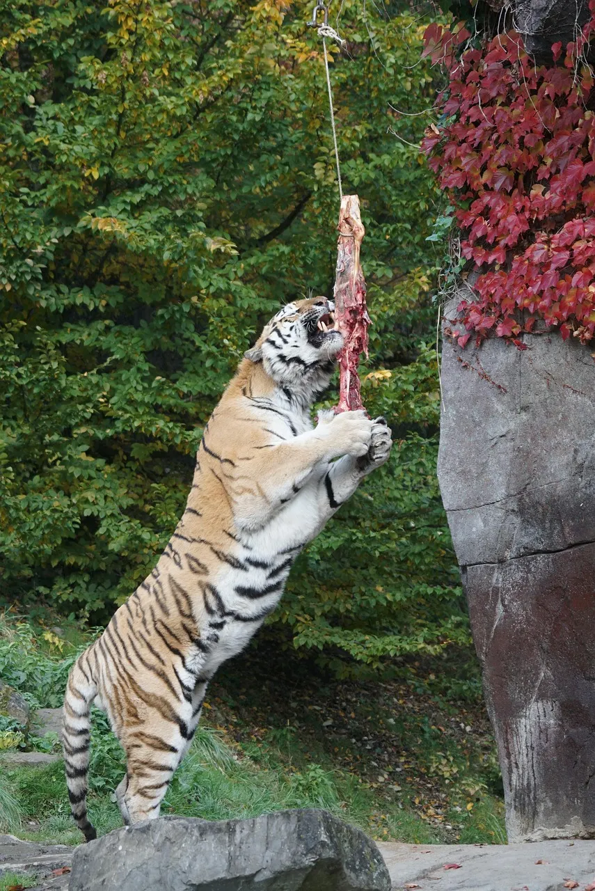 The feeding of the 5000.  Daily distress satirical articles - Jesus' Diary