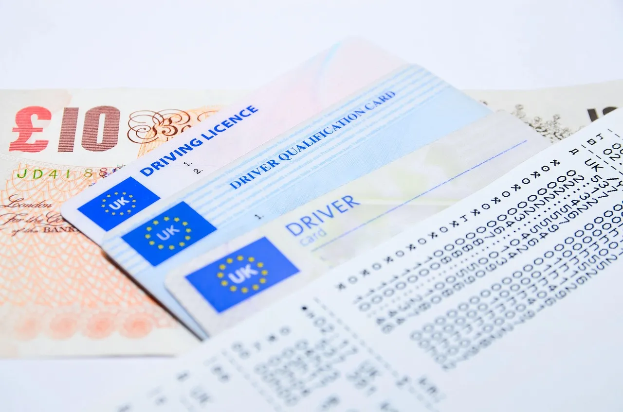 libertarian party aims to abolish uk driving license 