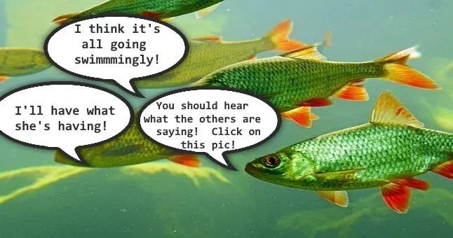 british fish on brexit reality daily distress satire