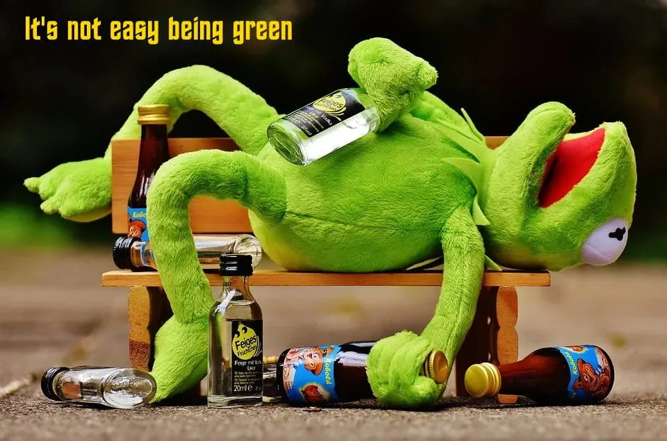 It's not easy being green - Kermit